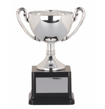 Silver Bowl Cup - 2 Sizes