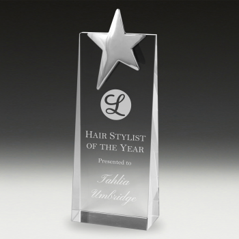 Star Crystal Wedge Award business awards