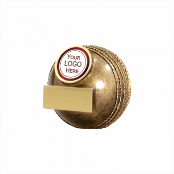 Cricket Mini Ball - A1332B with club centre