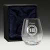 GS500 Birthday Stemless Wine Glass 4 18th bday box