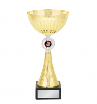 Sabre Series Gold Cup with Silver feature