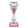 Pink Flash Series Silver Cups Plastic Cups Team Trophies